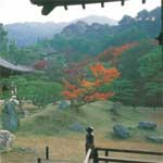 Koudai-ii temple, Japan