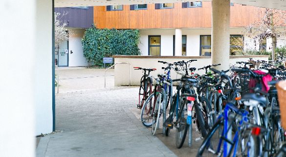 Bikes at the IfM