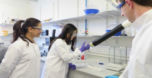 Yoanna Shams and Qingxin Zhang in the lab