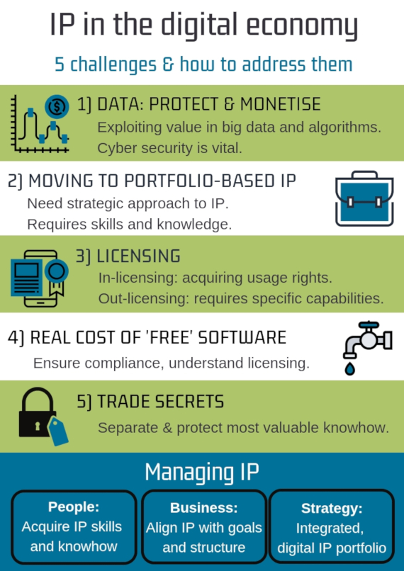 IP strategies for the digital economy