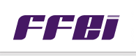 FFEI Logo